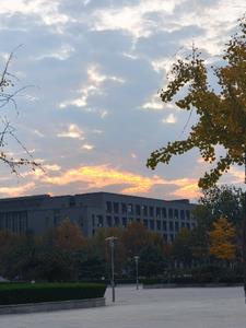 子夜见明后续+番外小说阅读