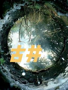 古井+后续小说阅读