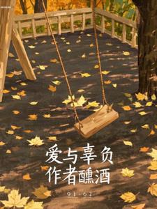 爱与辜负+后续小说阅读