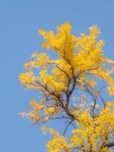 “追妻火葬场能追回来吗？”后续+番外小说阅读