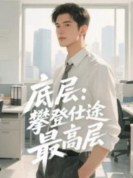 底层：攀登仕途最高层最新小说阅读