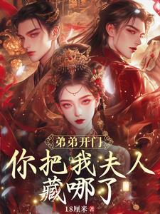 弟弟开门，你把我夫人藏哪了？阅读小说阅读