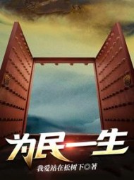 为民一生最新小说阅读
