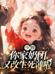 少帅，你家奶团又改生死薄啦阅读小说阅读