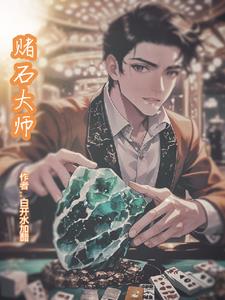 赌石大师最新小说阅读