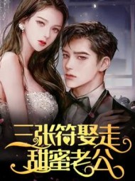 三张符娶走甜蜜老公阅读小说阅读