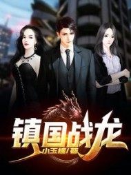 镇国战龙阅读小说阅读