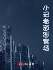 小记者逍遥官场阅读