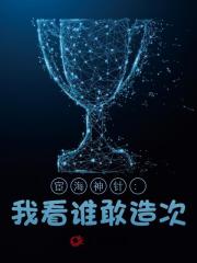 宦海神针：我看谁敢造次！阅读小说阅读