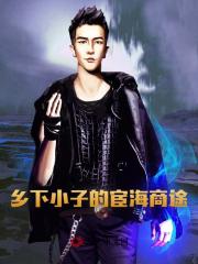 乡下小子的宦海商途阅读小说阅读