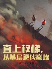 直上权梯，从基层逆伐巅峰！小说阅读