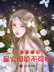 宦海观潮：星火燎原不可挡！最新小说阅读