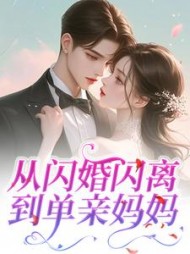 从闪婚闪离到单亲妈妈最新小说阅读