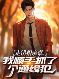 走错相亲桌，我顺手抓了个通缉犯阅读小说阅读