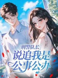 刑警队长说追我是公事公办?阅读小说阅读