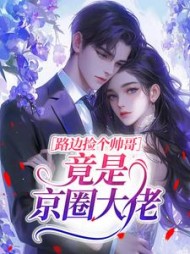 路边捡个帅哥竟是京圈大佬?阅读小说阅读