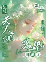 施总，夫人不追！带崽离婚回港了小说阅读