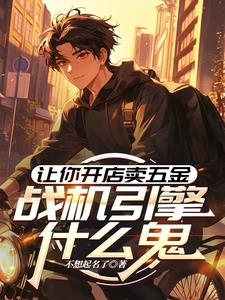让你开店买五金，战机引擎什么鬼小说阅读