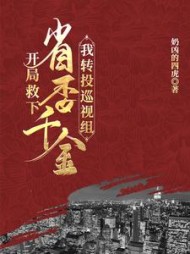 开局救下省委千金，我转投巡视组夏风小说阅读