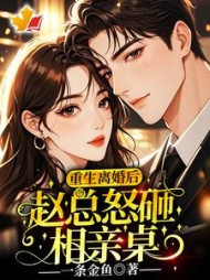 重生离婚后，赵总怒砸相亲桌小说阅读