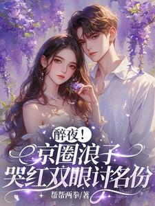 醉夜！京圈浪子哭红双眼讨名份阅读小说阅读