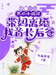 黑心小棉袄，带妈离婚找首长后爸最新小说阅读