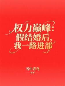 权力巅峰：假结婚后，我一路进部最新小说阅读