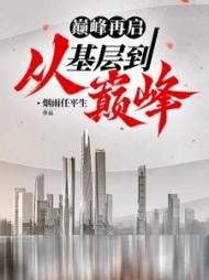 巅峰再启：从基层到巅峰阅读小说阅读