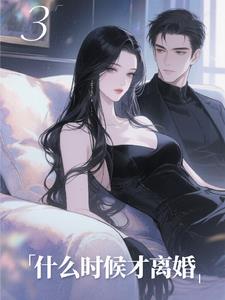 什么时候才离婚阅读小说阅读