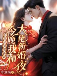 昨夜渣男哄新欢，今晚我和大佬新婚夜阅读小说阅读