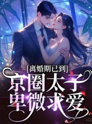离婚期已到！京圈太子卑微求爱阅读小说阅读