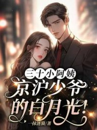 三十小阿姨，京沪少爷的白月光！最新小说阅读