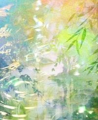 风流仕途：妻子的秘密最新小说阅读