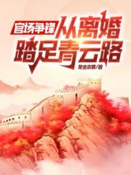 官场争锋,从离婚踏足青云路齐国伟