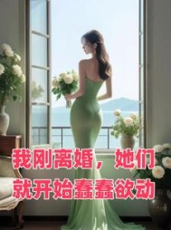 我刚离婚，她们就开始蠢蠢欲动小说阅读