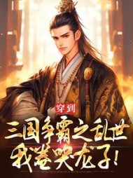 穿到三国争霸之乱世，我卷哭龙子！小说阅读