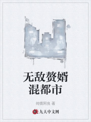 无敌赘婿混都市阅读