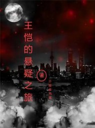 王恺的悬疑之旅小说阅读