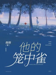 他的笼中雀姜奚顾景深阅读