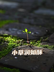 小雨润如酥后续+番外