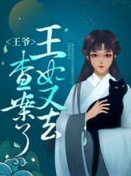 王爷，王妃又去查案了最新