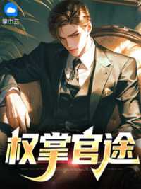 权掌官途