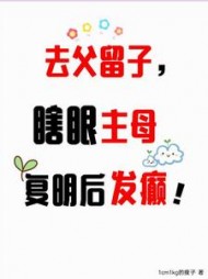 去父留子，瞎眼主母复明后发癫阅读