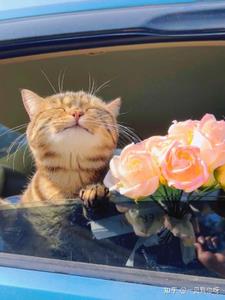 哥哥欠下赌债，爸妈却要我填坑阅读