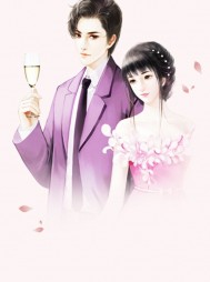 丈夫的算计郑敏赵军阅读