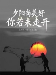 夕阳尚美好你若未走开阅读