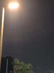 小黑传奇阅读小说阅读