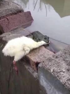 老公也重生后续+番外