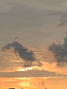 灵潮逆世后续+番外