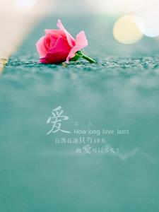 我爱你不是因为你爱我+后续